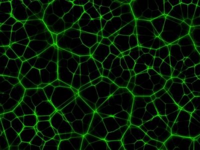 Netzwerk, Psyche, Nervenbahnen und Knoten in grün